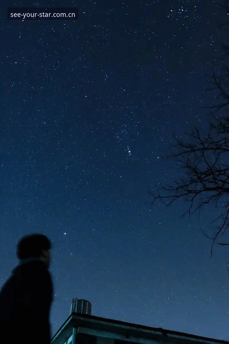 看见自己的星辰pinyin登录 星空体育入口究竟怎么选?看见自己的星辰pinyin登录全流程深度分析