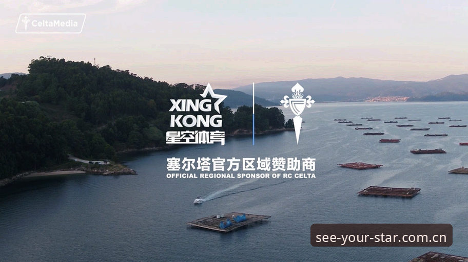 看见自己的星辰pinyin登录怎么样 星空体育入口实战指南:从pinyin登录到星域检索的完整路径